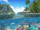 Caribbean Islands : un écran de veille paradisiaque