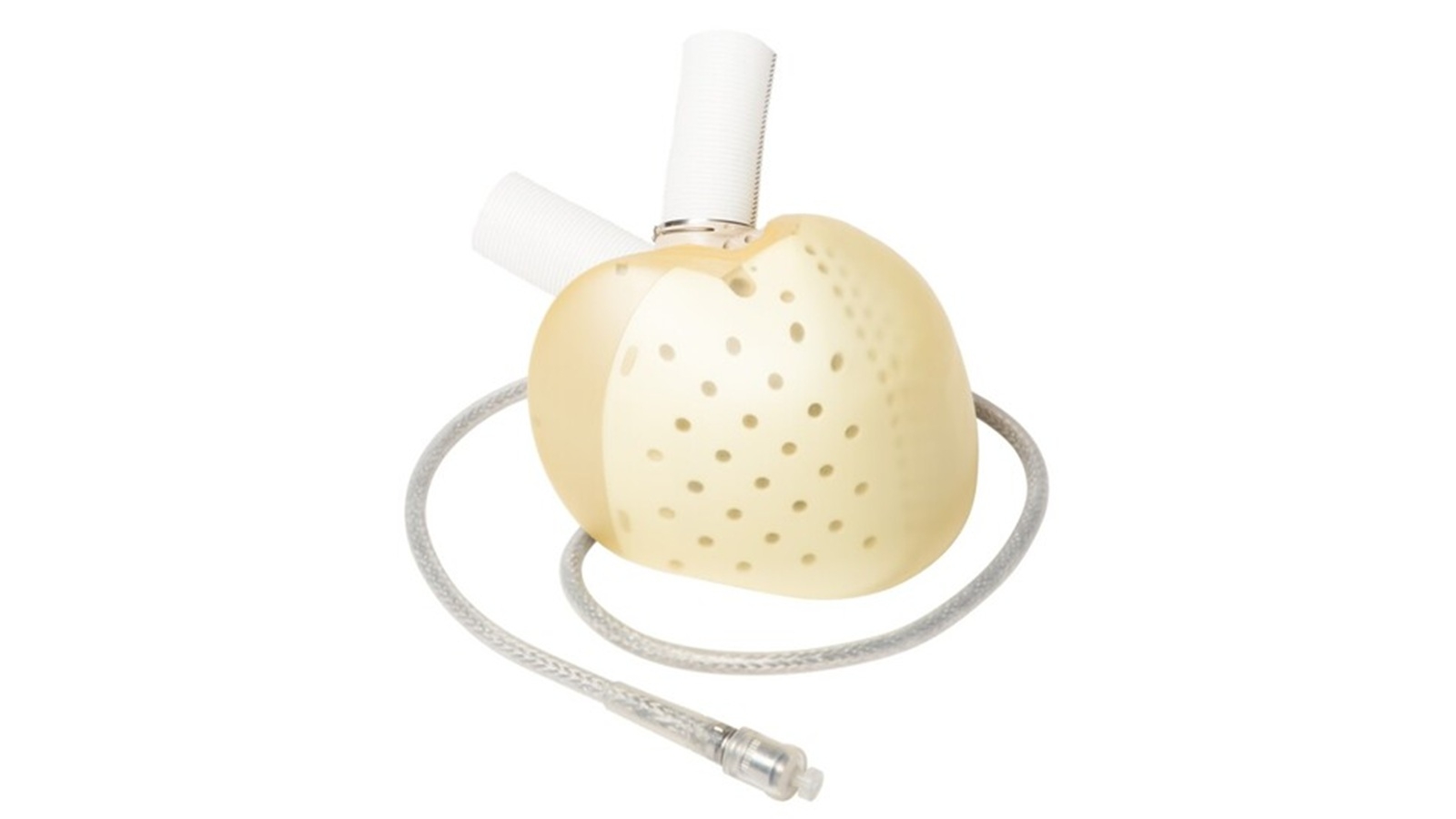 Carmat coeur artificiel