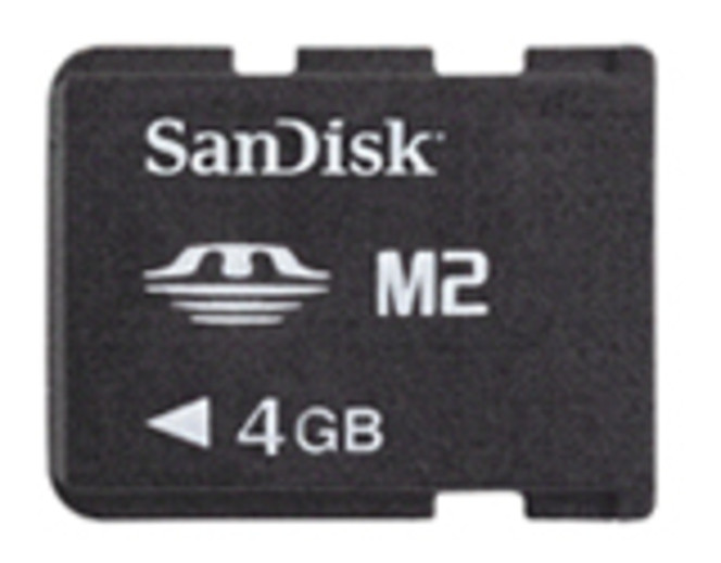 Carte Memory Stick Micro 4Go SanDisk