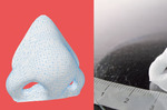 Cartilage