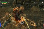 Castlevania Lords of Shadow - Image 20