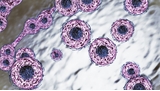 Cancer : une nouvelle molécule bloque le moteur de la tumeur sans effets secondaires