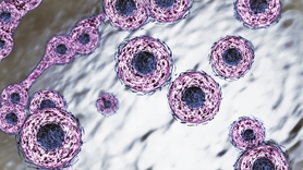Cancer : une nouvelle molécule bloque le moteur de la tumeur sans effets secondaires