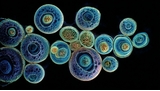 PROTEUS : Quand la science crée une IA pour faire évoluer la vie