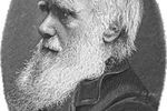 charles-darwin.jpg