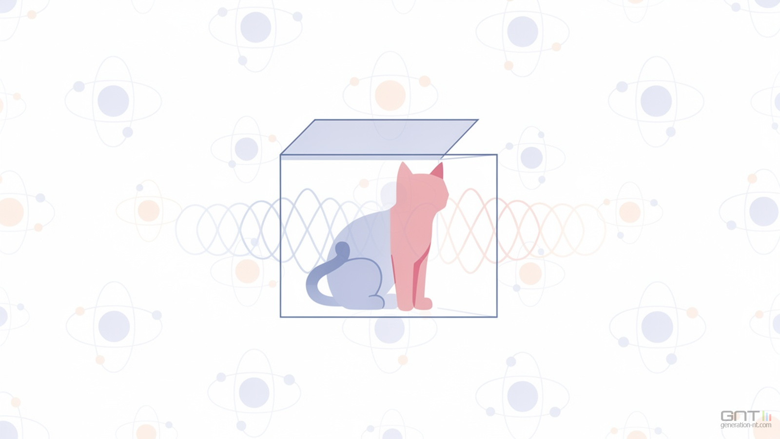 chat Schroedinger quantique