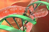 Vie artificielle : les chercheurs synthétisent un chromosome de la levure