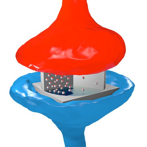 CNRS synapse électronique