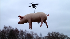 Un cochon volant par drone provoque une panne électrique géante en Chine