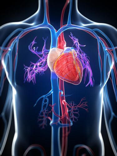 coeur