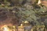 Company of Heroes (Small)