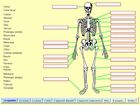 Connais-tu l'anatomie ?