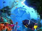 Coral Clock : une horloge aquatique comme écran de veille