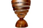 coupe de la ligue (Small)