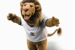 coupe du monde fifa