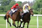 Course_hippique