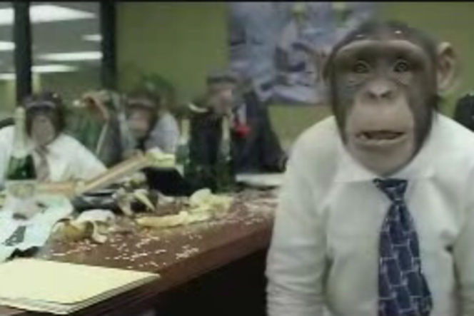 CozyDuke-Office-Monkeys-LOL-Video-logo