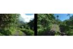 CryEngine 2 - Image 1 (Small)