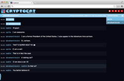 Cryptocat pour Firefox screen2