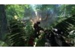Crysis (Small)