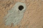 curiosity 2 forage