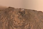 curiosity-selfie
