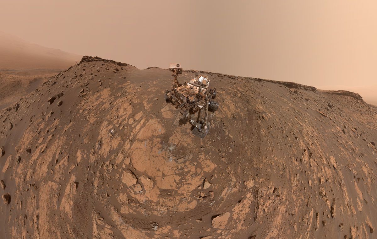 curiosity-selfie