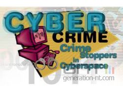 Cyber crime small