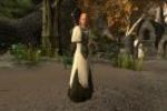 Dark and Light (Small)
