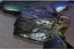 darpa-vapr