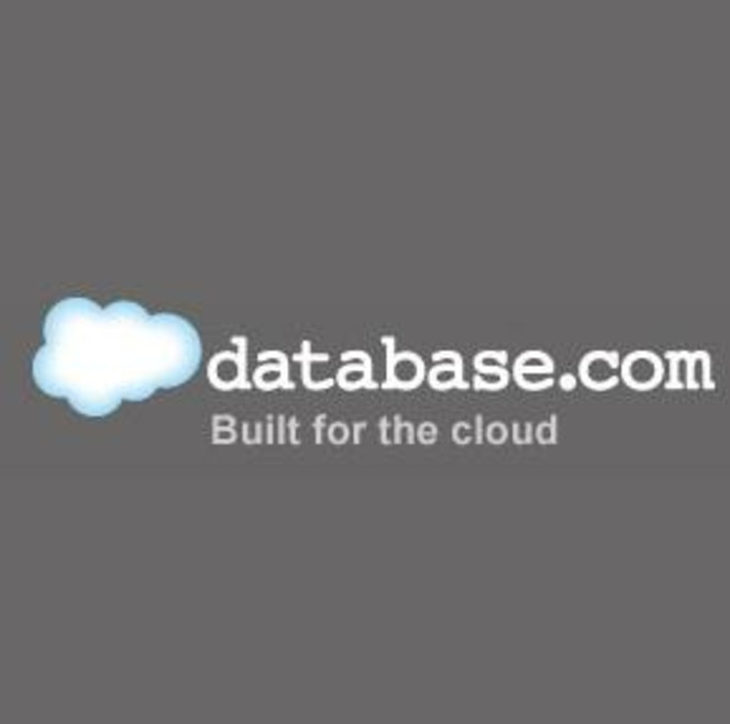 Database salesforce logo pro