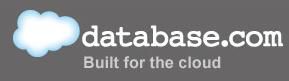 Database salesforce logo