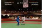 David Douillet Judo (Small)