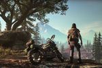 Days Gone