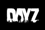 dayZ 1