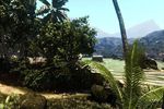 Dead Island - Image 12