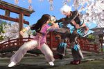 Dead or Alive 4 - Image 1