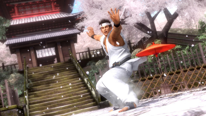 Dead or Alive 5 (10)