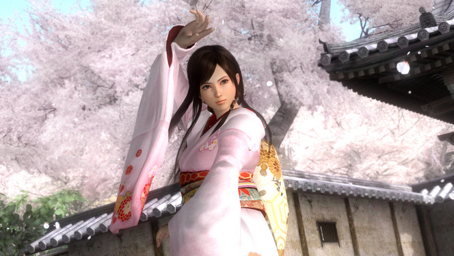 Dead or Alive 5 (12)