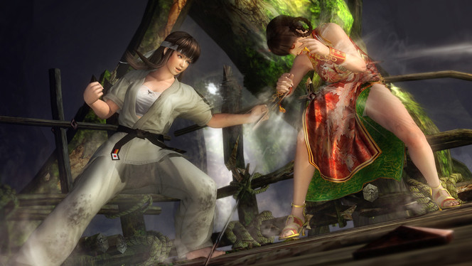 Dead or Alive 5 (13)