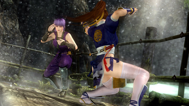 Dead or Alive 5 (18)