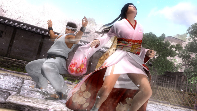 Dead or Alive 5 (1)