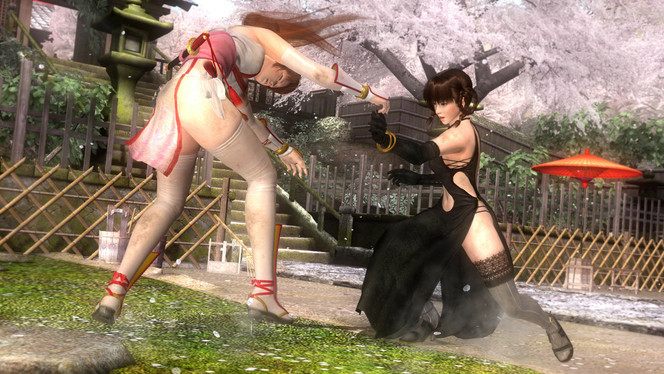 Dead or Alive 5 (20)
