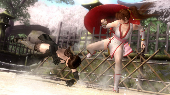 Dead or Alive 5 (21)