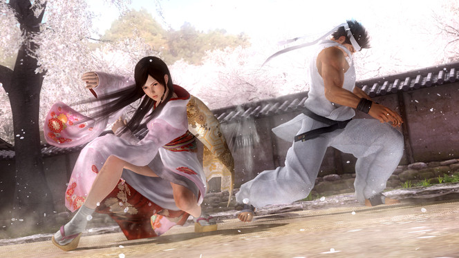 Dead or Alive 5 (2)