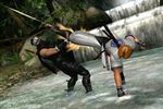 Dead or Alive Dimensions - Image 6
