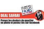 deal safari 1