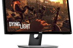 Dell SE2417HD (1)