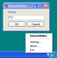 DetachVideo screen1