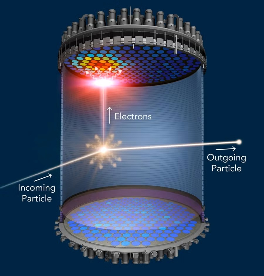 Detecteur LUX ZEPLIN principe